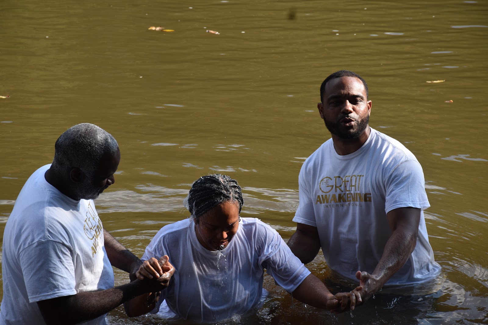 062fa838-6fad-4a01-a80f-3dc9e2d22e8f